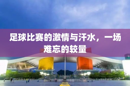 足球比赛的激情与汗水，一场难忘的较量