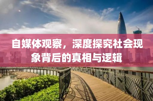 自媒体观察，深度探究社会现象背后的真相与逻辑