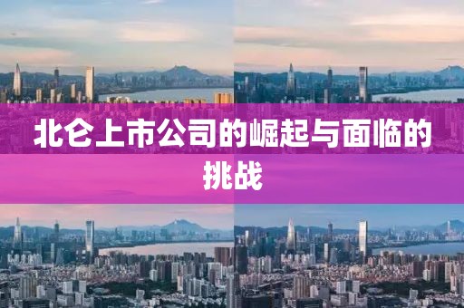 北仑上市公司的崛起与面临的挑战