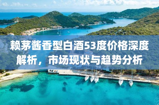 赖茅酱香型白酒53度价格深度解析，市场现状与趋势分析