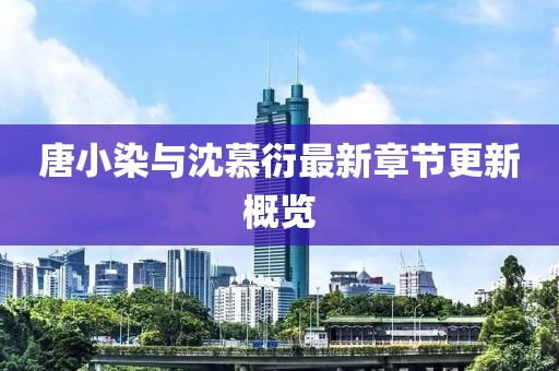 唐小染与沈慕衍最新章节更新概览