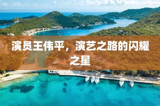 演员王伟平，演艺之路的闪耀之星