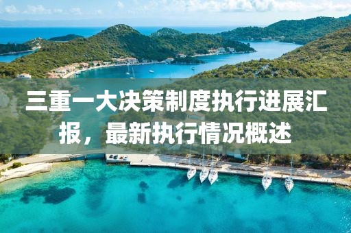 三重一大决策制度执行进展汇报，最新执行情况概述