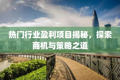 热门行业盈利项目揭秘，探索商机与策略之道
