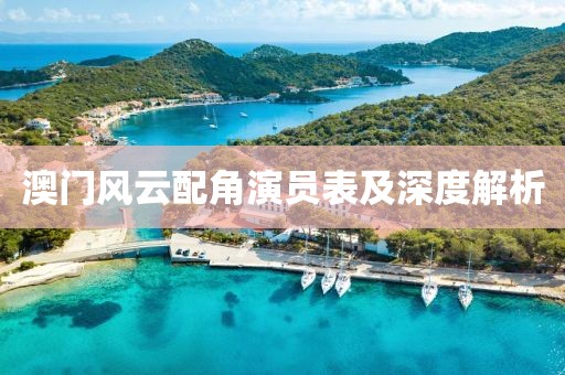 澳门风云配角演员表及深度解析