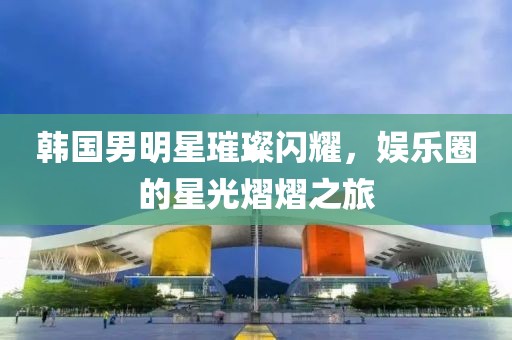 韩国男明星璀璨闪耀，娱乐圈的星光熠熠之旅