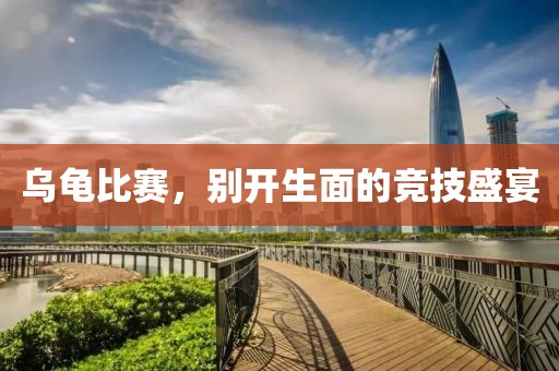 乌龟比赛，别开生面的竞技盛宴