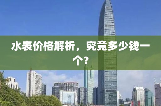 水表价格解析，究竟多少钱一个？