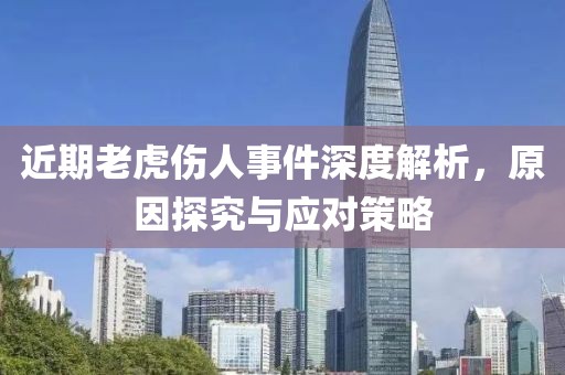 近期老虎伤人事件深度解析，原因探究与应对策略