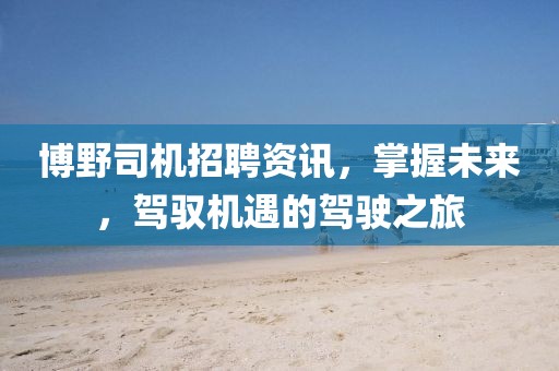 博野司机招聘资讯，掌握未来，驾驭机遇的驾驶之旅