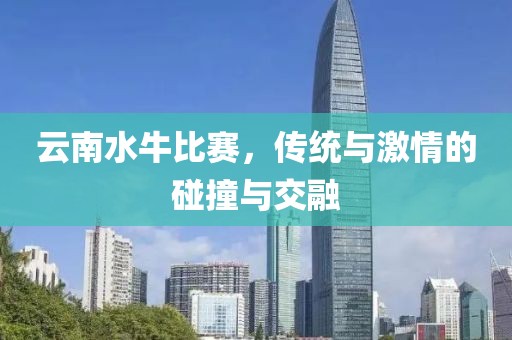 云南水牛比赛，传统与激情的碰撞与交融