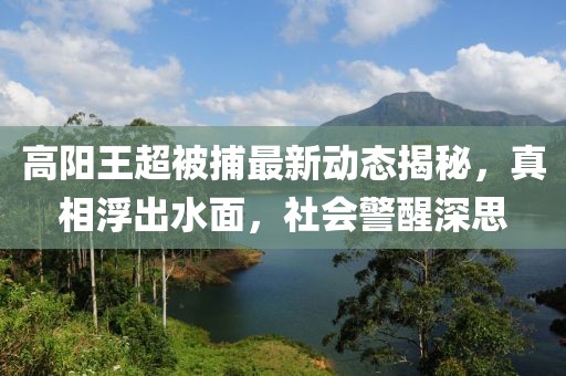 高阳王超被捕最新动态揭秘，真相浮出水面，社会警醒深思