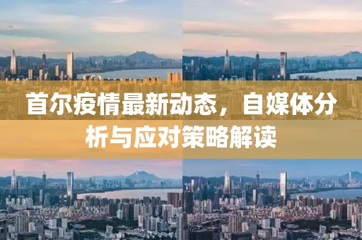首尔疫情最新动态，自媒体分析与应对策略解读