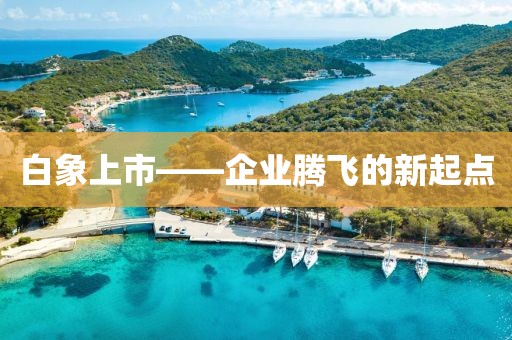 白象上市——企业腾飞的新起点