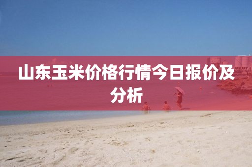 山东玉米价格行情今日报价及分析