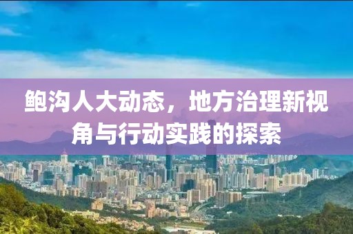 鲍沟人大动态，地方治理新视角与行动实践的探索