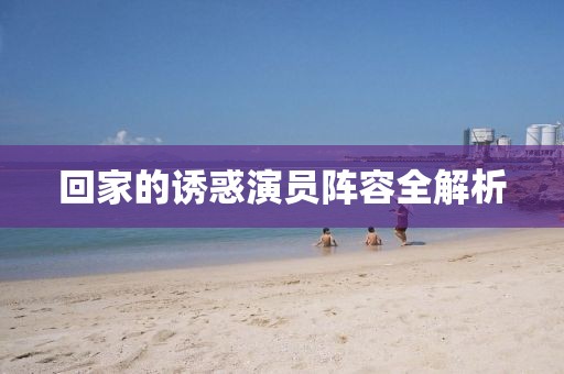 回家的诱惑演员阵容全解析
