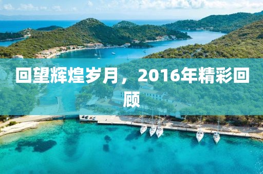 回望辉煌岁月，2016年精彩回顾