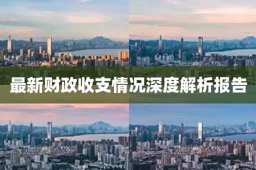 最新财政收支情况深度解析报告