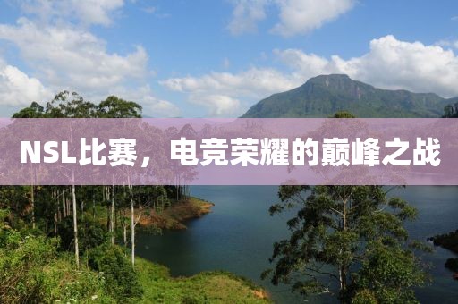 NSL比赛，电竞荣耀的巅峰之战