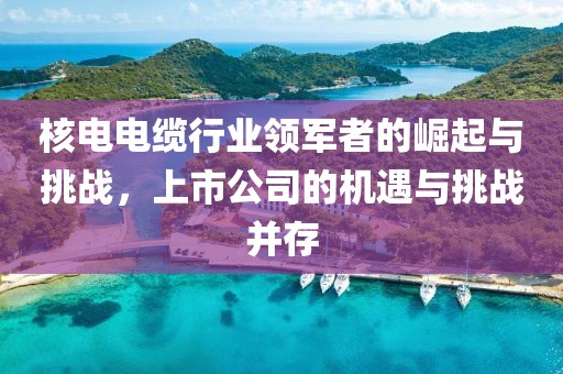 核电电缆行业领军者的崛起与挑战，上市公司的机遇与挑战并存