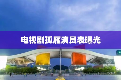 电视剧孤雁演员表曝光