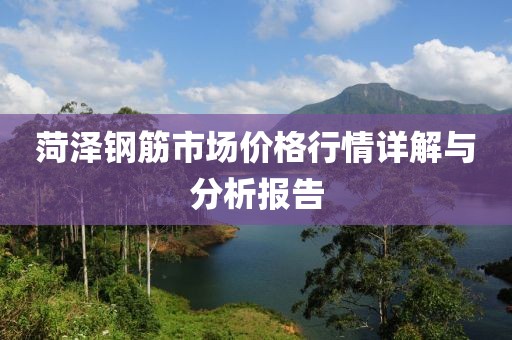 菏泽钢筋市场价格行情详解与分析报告