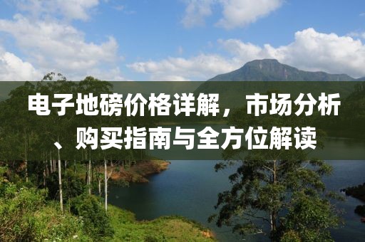 电子地磅价格详解，市场分析、购买指南与全方位解读