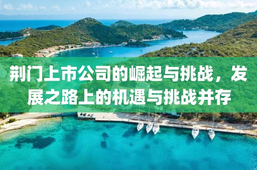 荆门上市公司的崛起与挑战，发展之路上的机遇与挑战并存