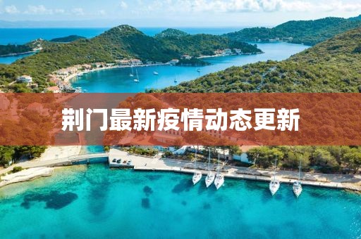 荆门最新疫情动态更新
