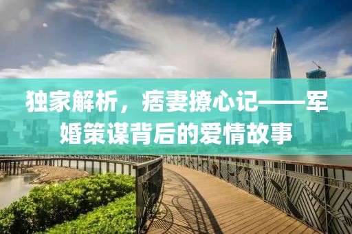 独家解析，痞妻撩心记——军婚策谋背后的爱情故事