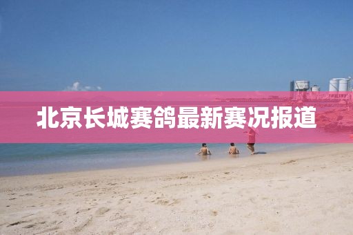 北京长城赛鸽最新赛况报道