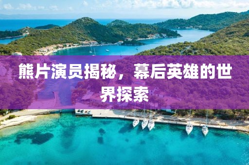 熊片演员揭秘，幕后英雄的世界探索