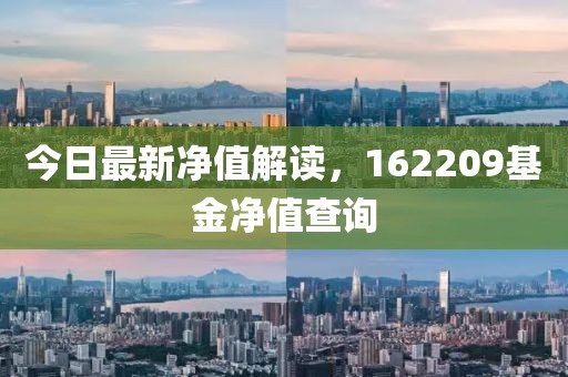 今日最新净值解读，162209基金净值查询