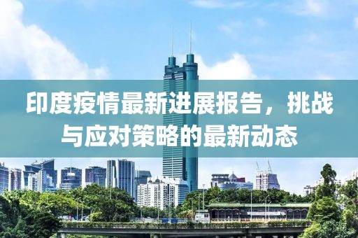 印度疫情最新进展报告，挑战与应对策略的最新动态