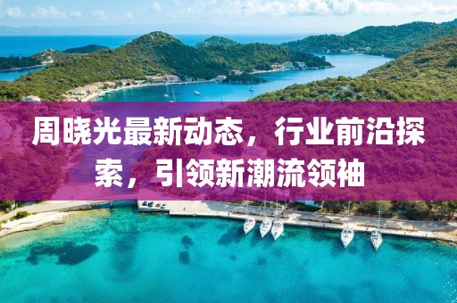 周晓光最新动态，行业前沿探索，引领新潮流领袖