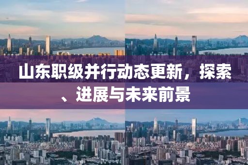 山东职级并行动态更新，探索、进展与未来前景
