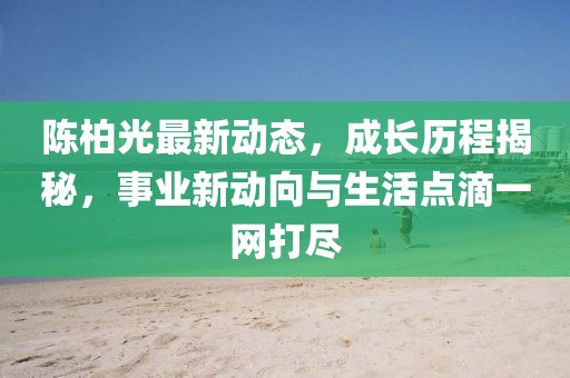 陈柏光最新动态，成长历程揭秘，事业新动向与生活点滴一网打尽