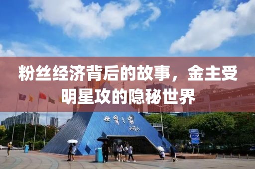 粉丝经济背后的故事，金主受明星攻的隐秘世界
