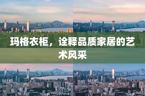 玛格衣柜