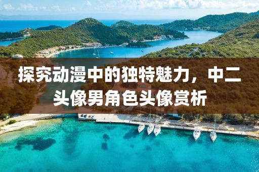 探究动漫中的独特魅力，中二头像男角色头像赏析