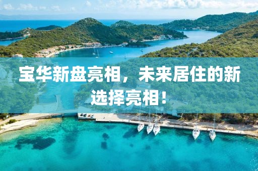 宝华新盘亮相，未来居住的新选择亮相！