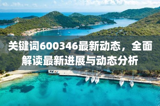 关键词600346最新动态，全面解读最新进展与动态分析