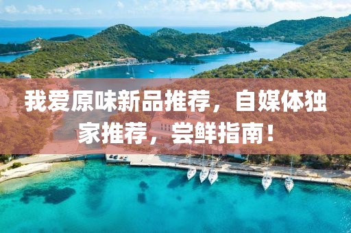 我爱原味新品推荐，自媒体独家推荐，尝鲜指南！