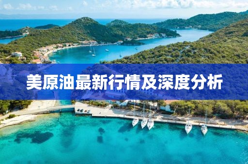 美原油最新行情及深度分析