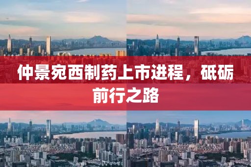 仲景宛西制药上市进程，砥砺前行之路