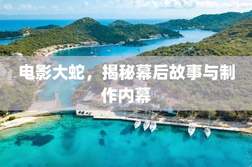 电影大蛇，揭秘幕后故事与制作内幕