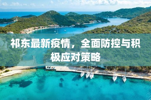 祁东最新疫情，全面防控与积极应对策略
