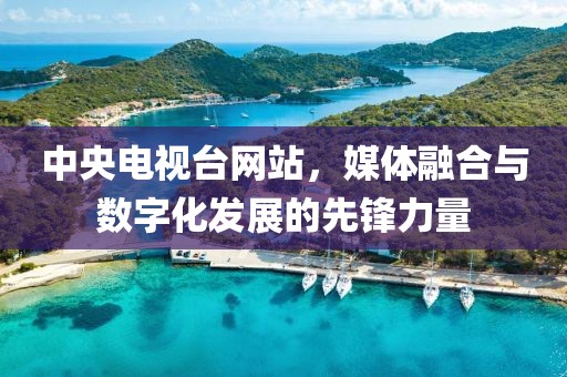 中央电视台网站，媒体融合与数字化发展的先锋力量