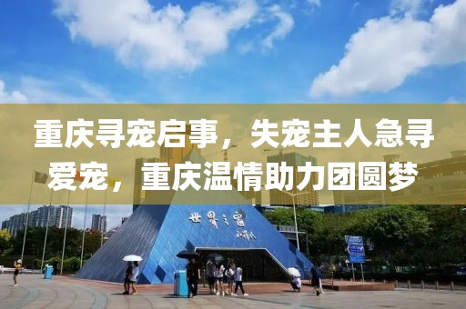 思琪 第6页